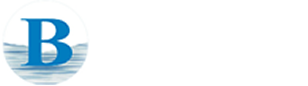blueseas logo